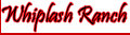 wildgunsleather002005.jpg